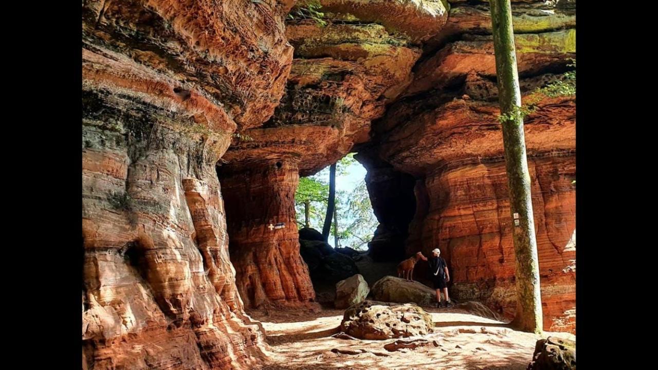 Вилла La Petite Halte Lemberg Экстерьер фото