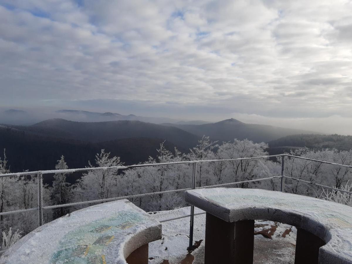 Вилла La Petite Halte Lemberg Экстерьер фото