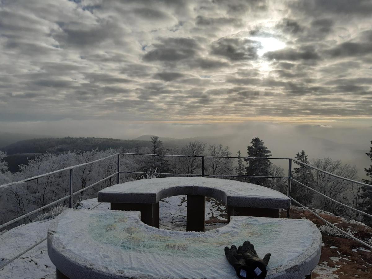 Вилла La Petite Halte Lemberg Экстерьер фото